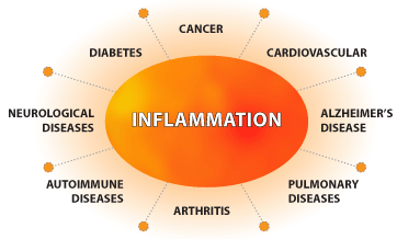 1 inflammation