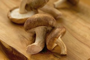 Shiitake (www.mushroomcouncil.org) 