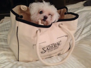 My Maltese dog Sazerac make me joyful